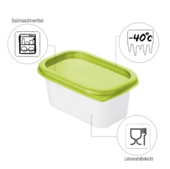 ROTHO Set Gefrierdosen 4 X 0.2 L DOMINO, Farbe:Limettengrün 10 ROTHO Set Gefrierdosen 4 X 0.2 L DOMINO, Farbe:Limettengrün -Haushaltswaren Store 13ebf58034d2b9173e889973e1e790e8