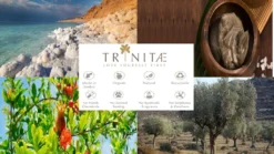 Villeroy & Boch 2 X Wasserkelch Set 4tlg. Opfeera Vorteilsset 2 X Art. Nr. 1137898100 Und Gratis 1 Trinitae Körperpflegeprodukt -Haushaltswaren Store 67077e59e1a1032d5c820cf4eae4ab17