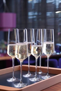 LEONARDO Sektglas PUCCINI 6er-Set 280 Ml, 069550 17 LEONARDO Sektglas PUCCINI 6er-Set 280 Ml, 069550 -Haushaltswaren Store 6d191464b7925c9a162effb69855043e