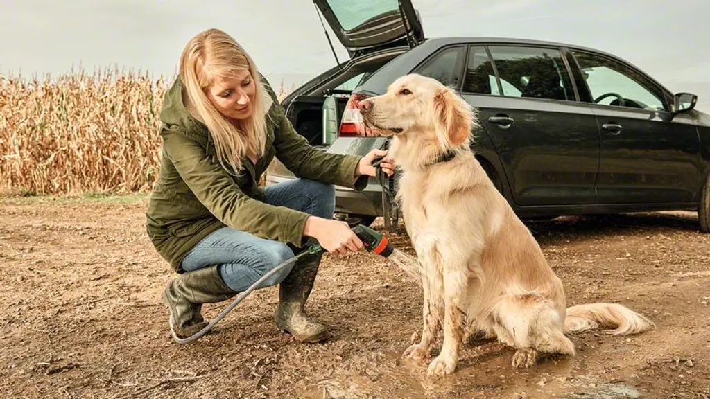 Bosch 3.6V Akku Fensterreiniger GlassVac Inkl. Zubehör 20 Bosch 3.6V Akku Fensterreiniger GlassVac Inkl. Zubehör – Bild 18