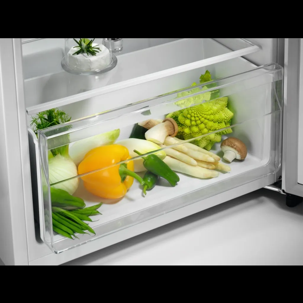 ZANUSSI Kühl-/Gefrierkombination 205L Freistehend Weiß 1434mm Höhe ZTAN24FW0 8 ZANUSSI Kühl-/Gefrierkombination 205L Freistehend Weiß 1434mm Höhe ZTAN24FW0 – Bild 6