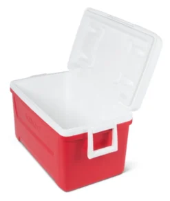Igloo Kühler Laguna 48passiv 45 Liter Rot -Haushaltswaren Store c51bb359abd11eef7d7cfe0cb9f15020