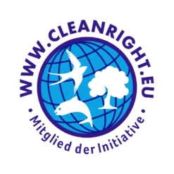 Dr. Beckmann Kochfeld Kraft-Reiniger | Glaskeramik-Reiniger Gegen Eingebranntes Und Fett | Mit Natürlichen Polierperlen Und Aktivkohle | 6x 250 Ml -Haushaltswaren Store ed74540c8b680a90e58c939ce3f38eaa